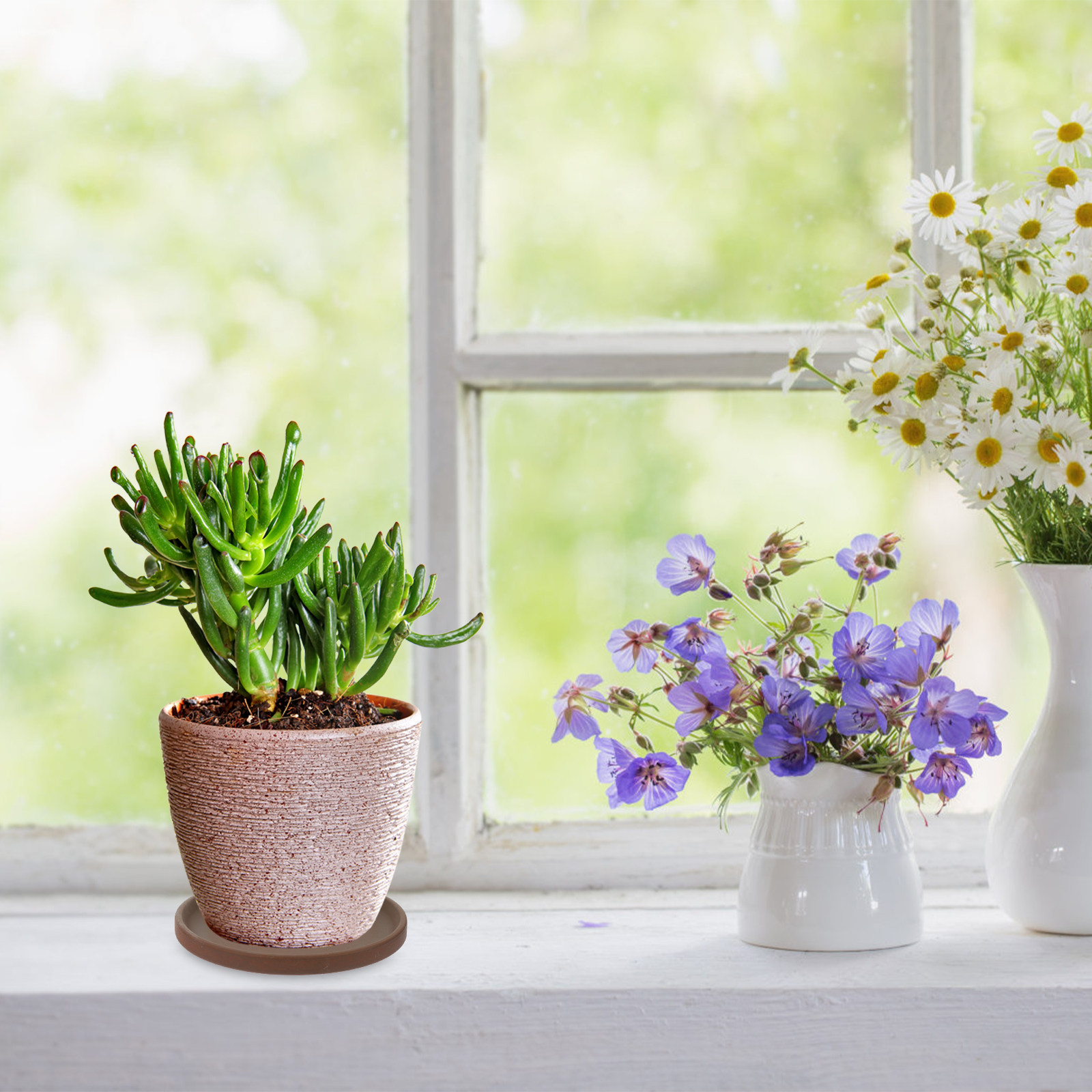 Ceramic Flower Pot Tray Round  - Drip Tray Saucer recension och pris