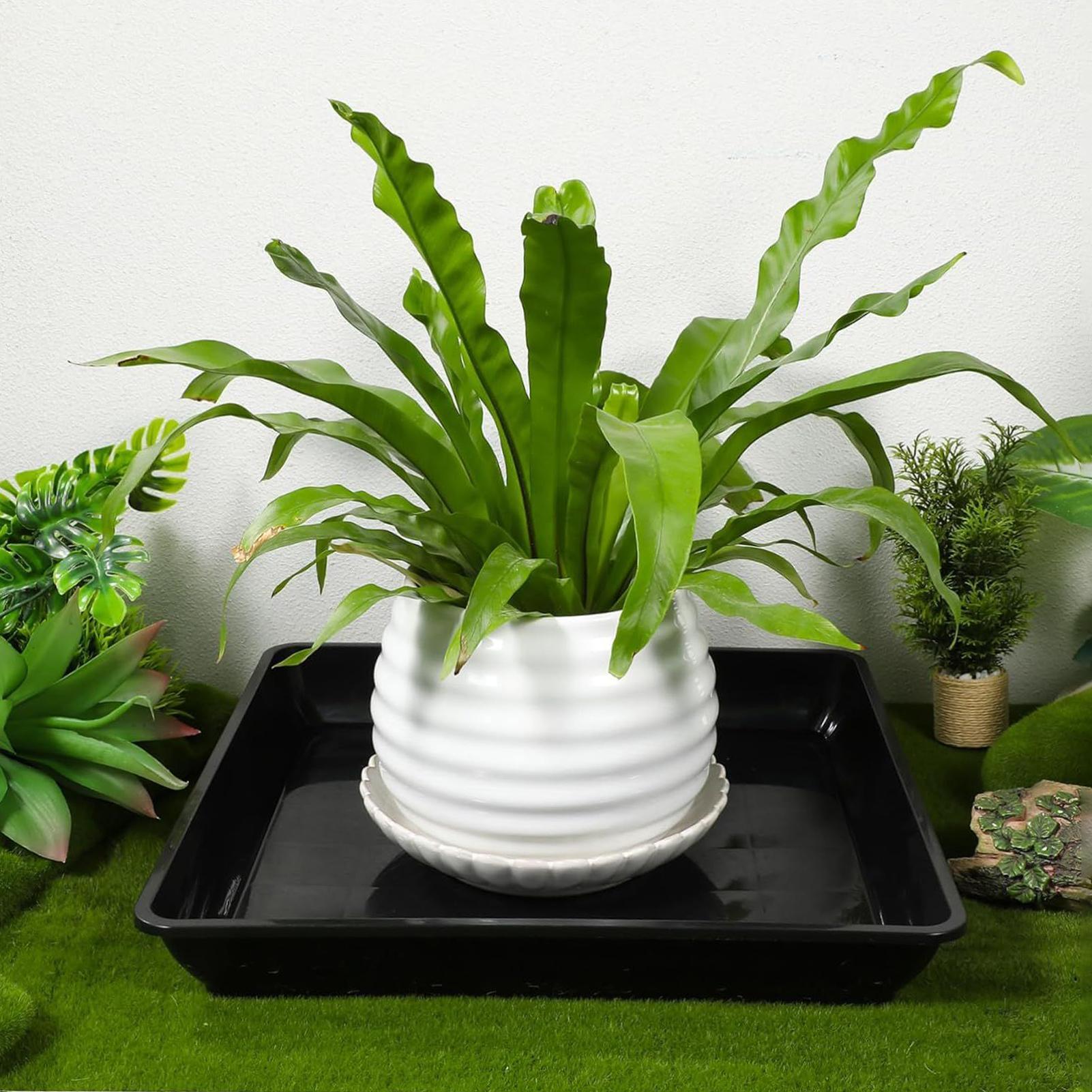 Flower Pot Trays 2Pcs/set Gard - Drip Tray Saucer recension och pris